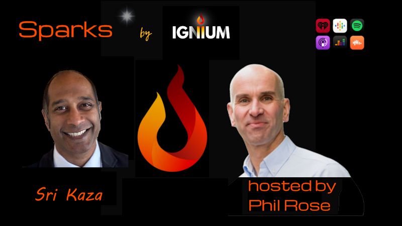 The unconventional 3Ps of small business resilience and growth - with Sri Kaza